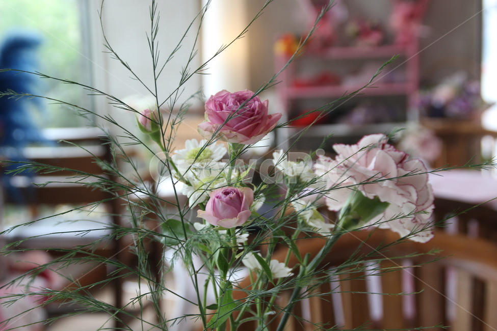 플로라,꽃,장미,향기,카페,전주,flora,flower,rose,fragrance,aroma,cafe,jeonju,꽃,flower,실내용화초,화분,화초,house plant,인테리어,실내디자인,interior design