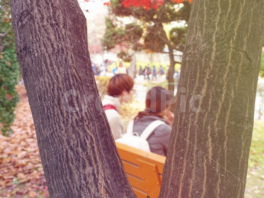연인,커플,러브,데이트,일상,감성사진,이쁨,사랑,사람,인물,인간,human,person,연인,커플,사랑,lover,couple