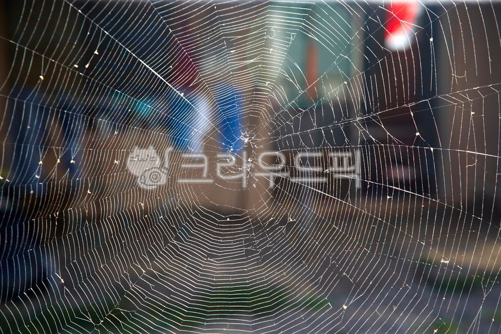 폐가, 폐옥, 페허, 제주도폐가, 주택, 사진,이미지,일러스트,캘리그라피 - 포토비작가