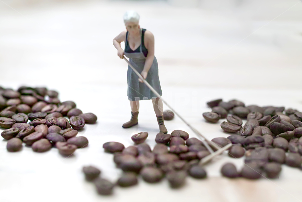 커피,커피빈,커피콩,원두,카페,coffee,coffeebean,bean,로스팅,roasting,roastingcoffee,조각상,동상,석상,조형물,statue,bronze statue,stone statue,커피,카페,coffee,cafe,연출,컨셉,콘셉,direction,concept