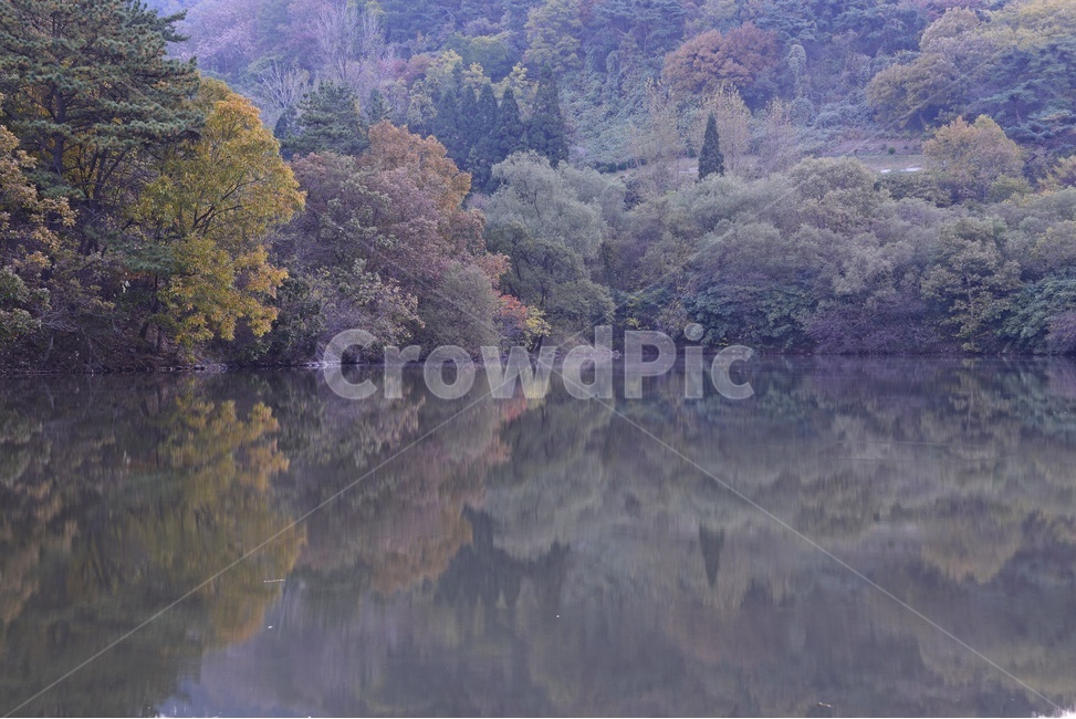 water,물,nature,자연,outdoors,옥외,화순,세량지,반영,경치,풍경