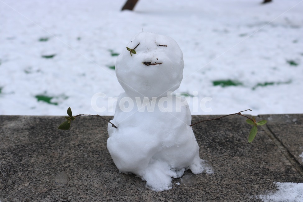 눈,겨울,흰색,눈사람,나무,나뭇가지,식물,snow,yuki,winter,huyu,white,shiro,snowman,yukidaruma,tree,ki,plants,shokubutsu,만들기,make,tsukuru