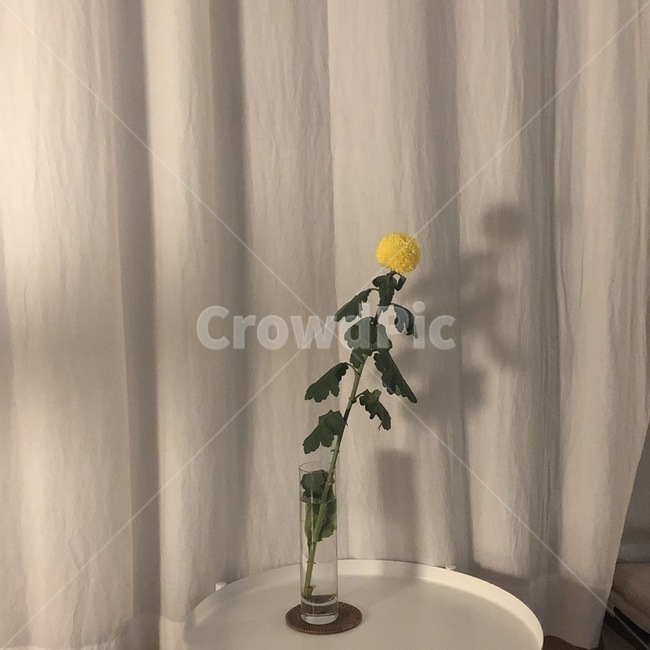 인테리어,카페,화병,꽃,감성사진,cafe,꽃,flower,인테리어,실내디자인,interior design