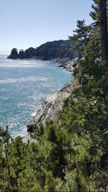 절벽,바다,거제,풍경,절경,자연,풍경,nature,landscape,promontory,곶,outdoors,옥외,cliff,낭떠러지