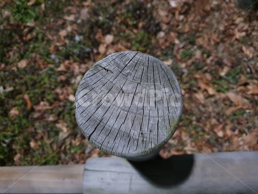 wood,나무,sphere,구체,spring,가을