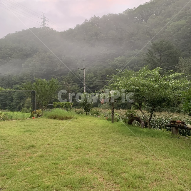 야경,자연,풍경,날씨,나무,산책길
