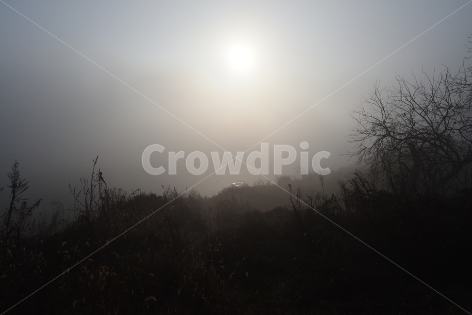 nature,자연,안개,fog,mist,가을,풍경,자연,풍경,nature,landscape