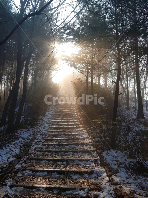 산,풍경,눈,빛,나무