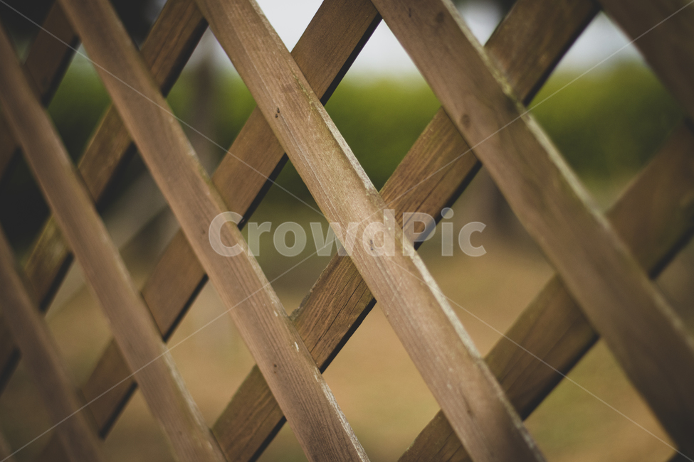 wood,나무,plywood,합판,울타리