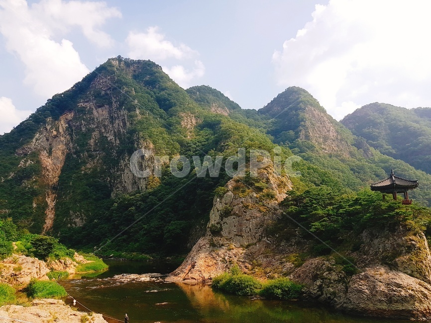 논,벼,초록물결,월류봉,다슬기마을,자연,풍경,nature,landscape,한국자연풍경,한국자연경관,korea nature landscape,outdoors,옥외