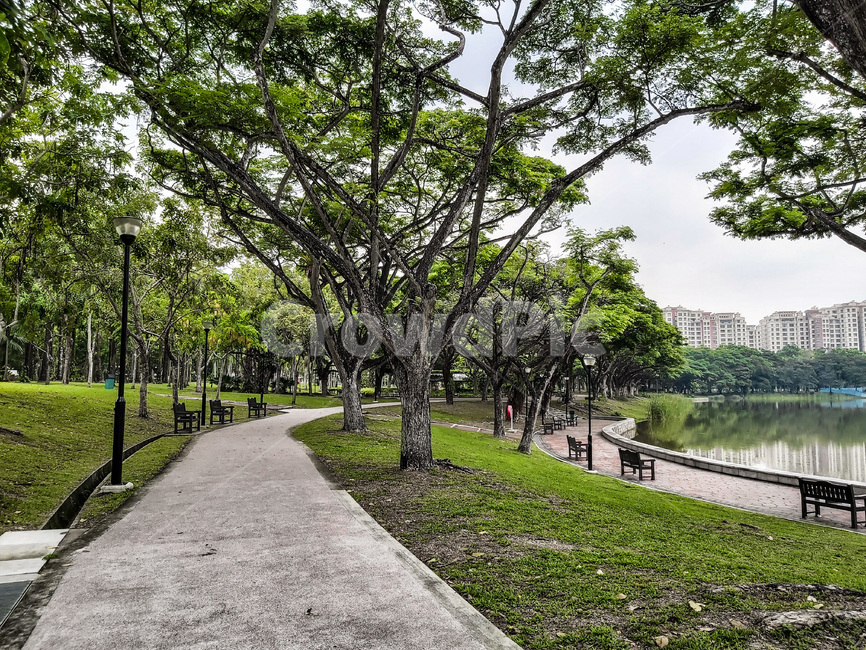 공원,garden,정원,outdoors,나무,산책,산책로,싱가포르,싱가폴,singapore,trees,lake,호수,park,자연,풍경,nature,landscape