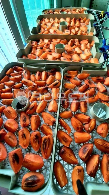 감말랭이,감,건조,건조기,트레이,과일,단감,대봉감,과일말리기,감말리기,창문