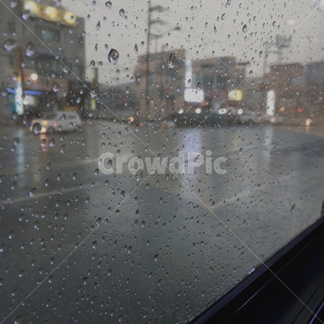 비,버스,풍경,날씨,빗물,소나기,분위기