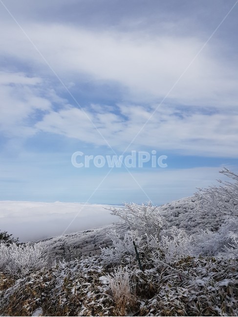 설산,겨울,눈꽃,겨울나무,겨울풍경,한라산,겨울산,눈,nature,자연