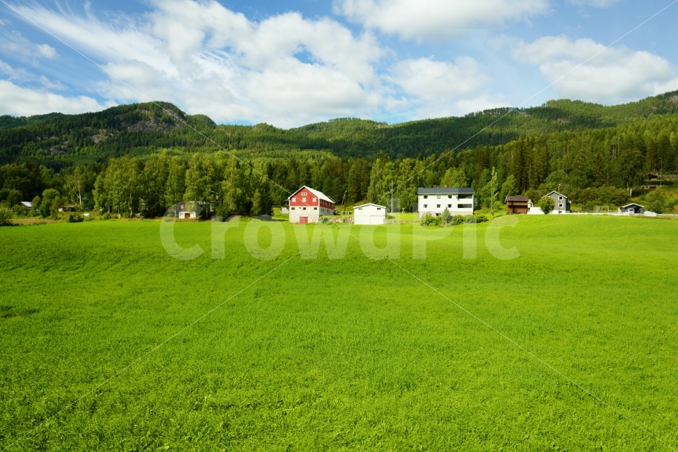 잔디,풍경,집,마을,여행,노르웨이,자연,초원,자연,풍경,nature,landscape,시골,마을,country,rural,town,해외,외국,세계,foreign,oversea,world,세계자연풍경,해외자연풍경,외국자연풍경,world nature landscape,plant,식물,grass,field,들,outdoors,옥외,grassland,목초지
