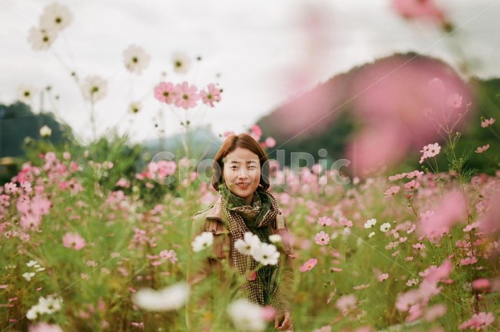 가을,코스모스,가을꽃,꽃,단양,꽃밭,모델,인물사진,가을,계절,fall,autumn,season,식물,자연,plants,nature,꽃,flower,사람,인물,인간,human,person,얼굴표정,facial expression,face,여성,여자,woman,female,lady,감정표현,기분,feeling,emotion,plant,blossom