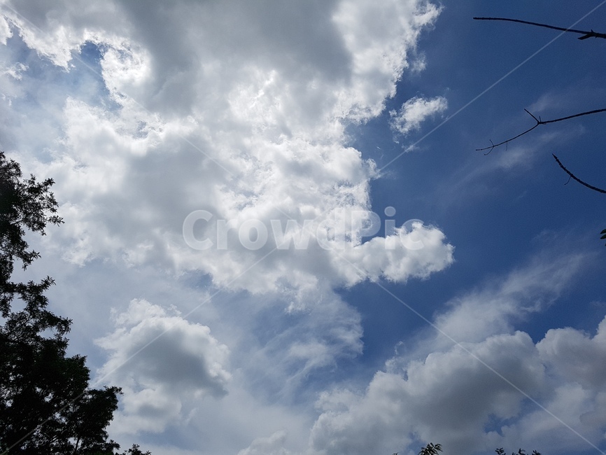 하늘,구름,뭉개구름,나무,자연,sky,휴식