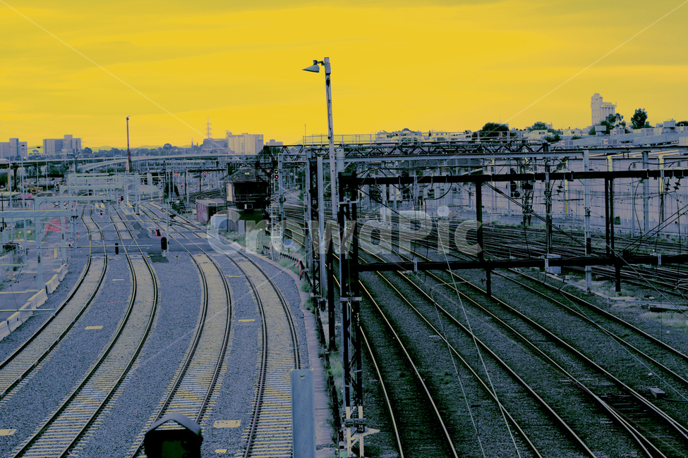 rail,레일,기찻길,railway,철도,traintrack,transportation,교통,교통수단,traffic,transportation