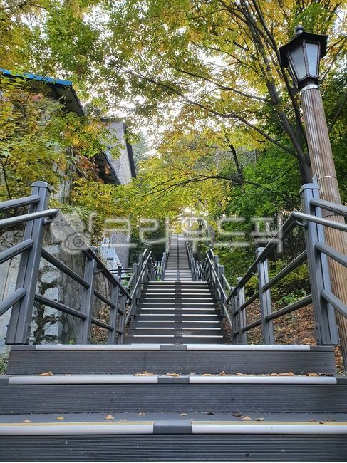 계단,아침,산길,오르막길,난간,stairs,morning,mountainpass,handrail,uphill