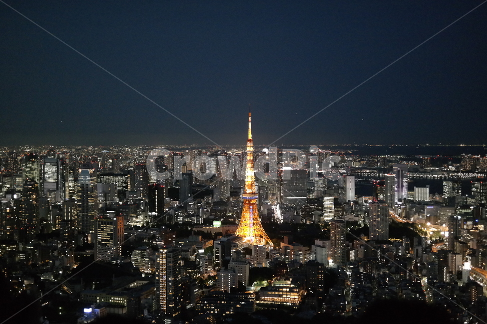 outdoors,옥외,nature,자연,풍경,scenery,경치,landscape,aerialview,조감도,building,건물,탑,tower,건축물,architecture,tokyotower,도쿄타워,도쿄,야경,도쿄야경