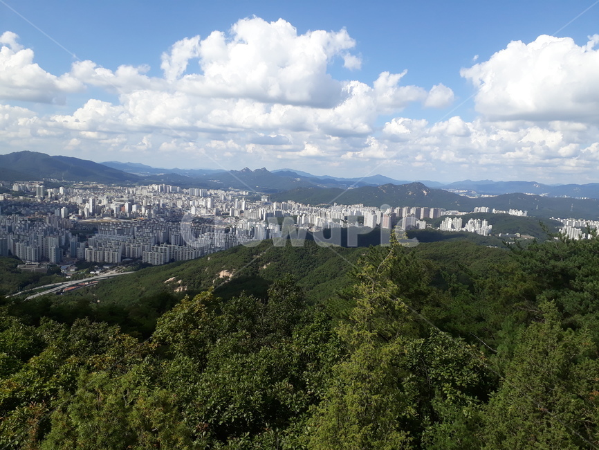 산,산정상,정상,대모산정상,정상배경
