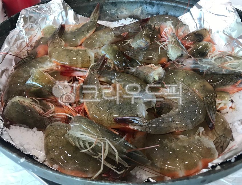 대하,대하구이,대하축제,대하요리,새우구이,대하소금구이,새우요리,음식,해산물,바다음식,싱싱한,싱싱한대하,싱싱한새우