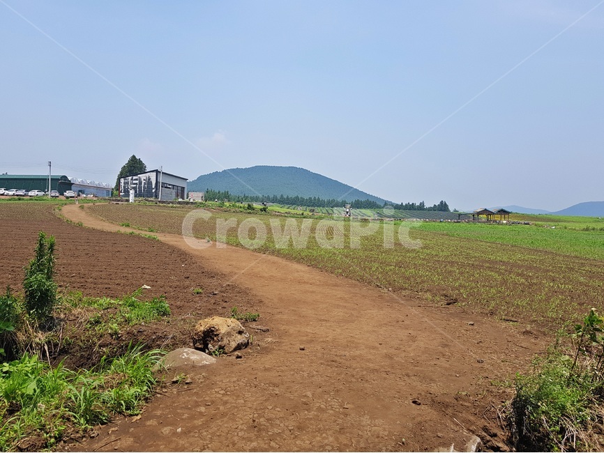 농장,길,오름,들판,하늘,farm,road,sky,field,way,시골,마을,풍경,landscape,country,rural,town,산업,industry,industrial,농업,농사,agriculture,farming,farming industry