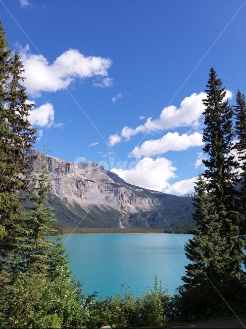 산맥,캐나다로키,캐나다밴프,빙하호수,하늘,구름,canada,canadamountains,mountainrange,tree,나무,plant,식물,전나무,호수,자연,풍경,nature,landscape,해외,외국,세계,foreign,oversea,world,세계자연풍경,해외자연풍경,외국자연풍경,world nature landscape