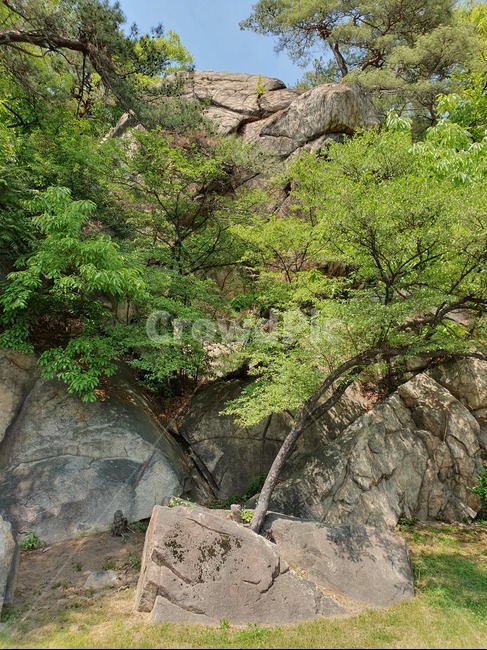 rock,Cliff,small cliff,big rock,trees and rocks