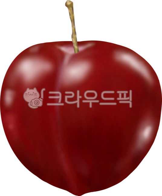 Plum,red plum,fruit,summer season,fruit,plum illustration,plum drawing