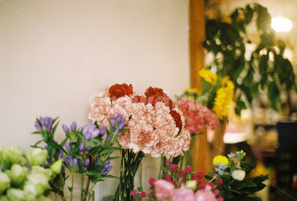 꽃,인테리어,꽃다발,분위기,장식,식물,자연,plants,nature,꽃,flower
