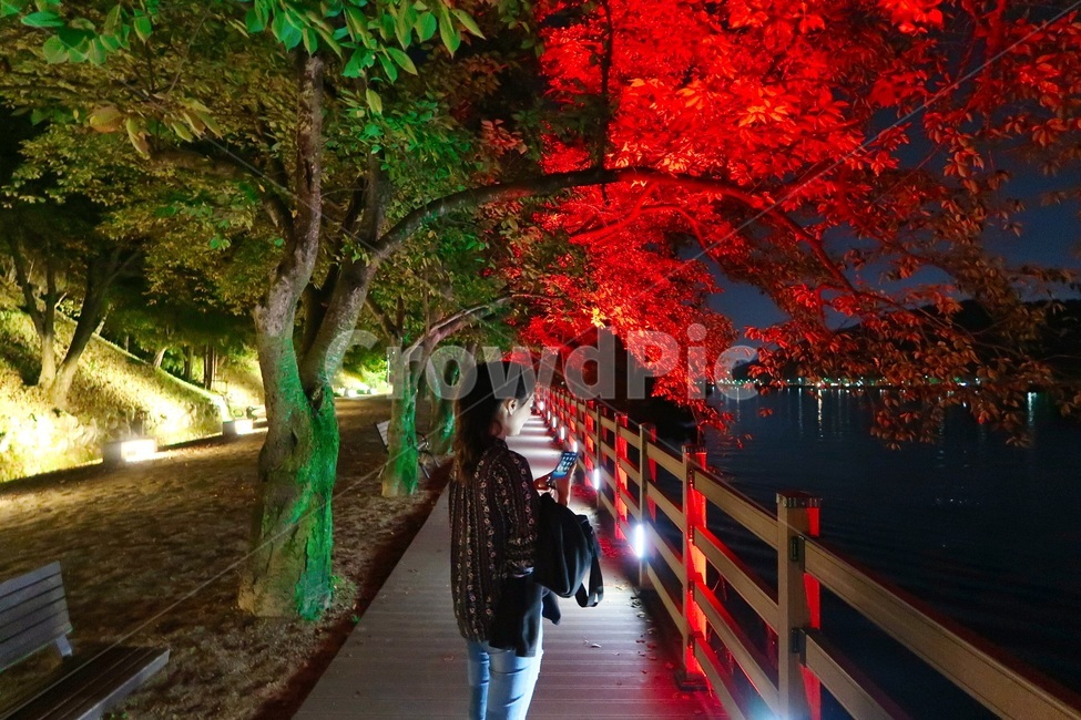 human,인간,person,사람,뒷모습,여자,빛,빨강,녹색,red,green,women