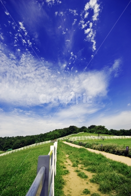 초원,풀,나무,울타리,하늘,구름,푸른하늘,광각,풍경,view,light,landscape,sky,자연,풍경,nature,landscape,outdoors,옥외,field,들,grassland,목초지