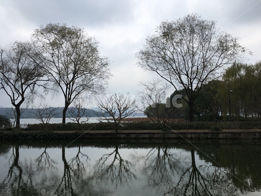자연,식물,나무,땅,물,water,outdoors,plant,tree,nature,자연,풍경,nature,landscape,나무,trees,wood,옥외,land