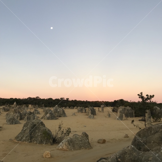 사막,desert,풍경,자연,사막풍경,사막경치,돌,피나클스,호주,호주자연,호주경치,오스트레일리아,austrailia