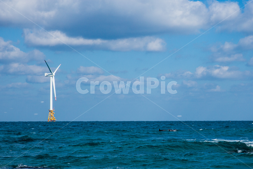 바다,제주도,돌고래,풍력발전기,하늘,자연,풍경,nature,landscape,산업,industry,industrial,에너지산업,energy industry,engine,엔진,motor,모터,machine,기계