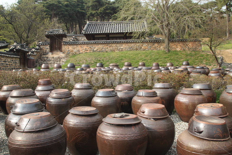 항아리,옹기,장독,시골,풍경,pot,한국전통,한국문화,korean traditional,korean culture