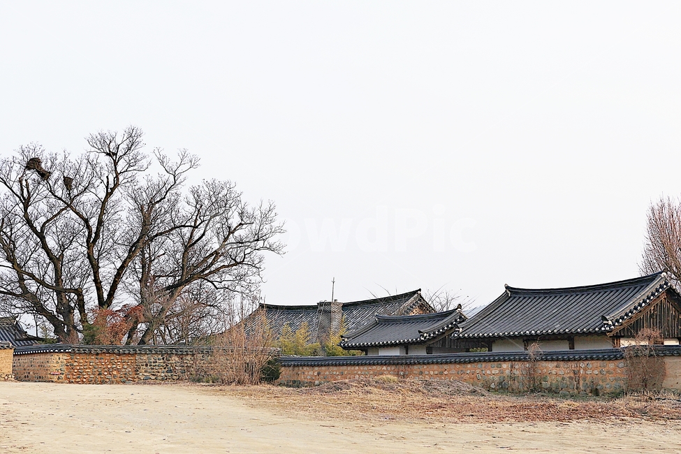 하회마을,안동,한옥,기와집,한옥집,전통집,집,옛날집,자연,풍경,겨울,건물,문화재,한국전통,한국문화,korean traditional,korean culture
