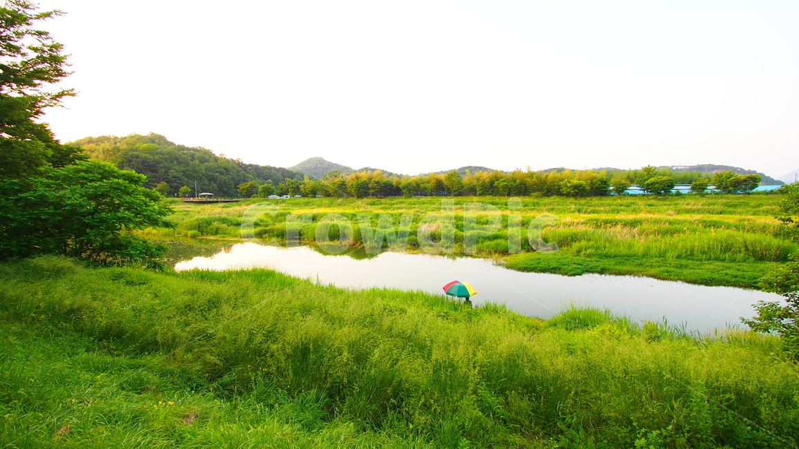 하천,낚시,여유,풀,자연,fishing,grass,nature,relax,자연,풍경,nature,landscape,outdoors,옥외,land,땅,field,들,water,물,grassland,목초지
