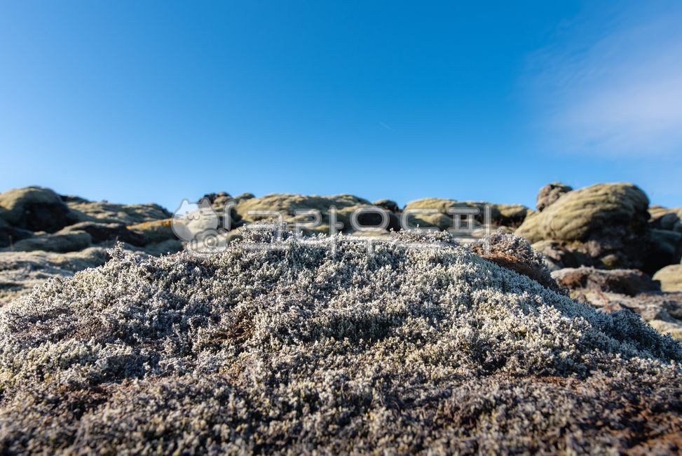 아이슬란드,iceland,유럽,europe,북유럽,northeurope,자연,nature,해외,overea,풍경,landscape,가을,autumn,fall