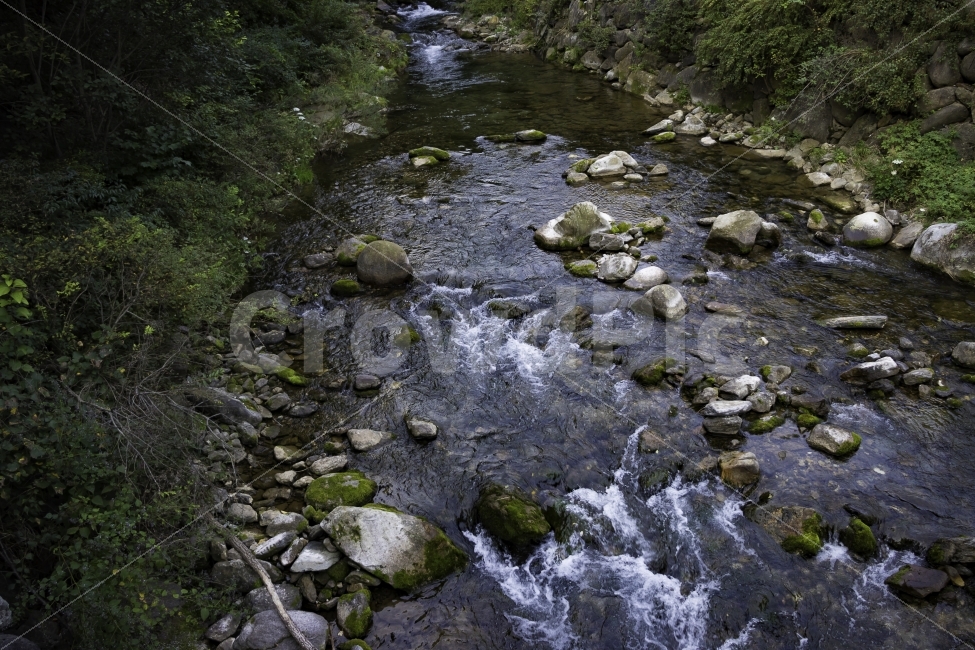 장노출,계곡,여행,삼척,산행길,자연,풍경,nature,landscape,water,물,outdoors,옥외,stream,흐름,creek,작은 만