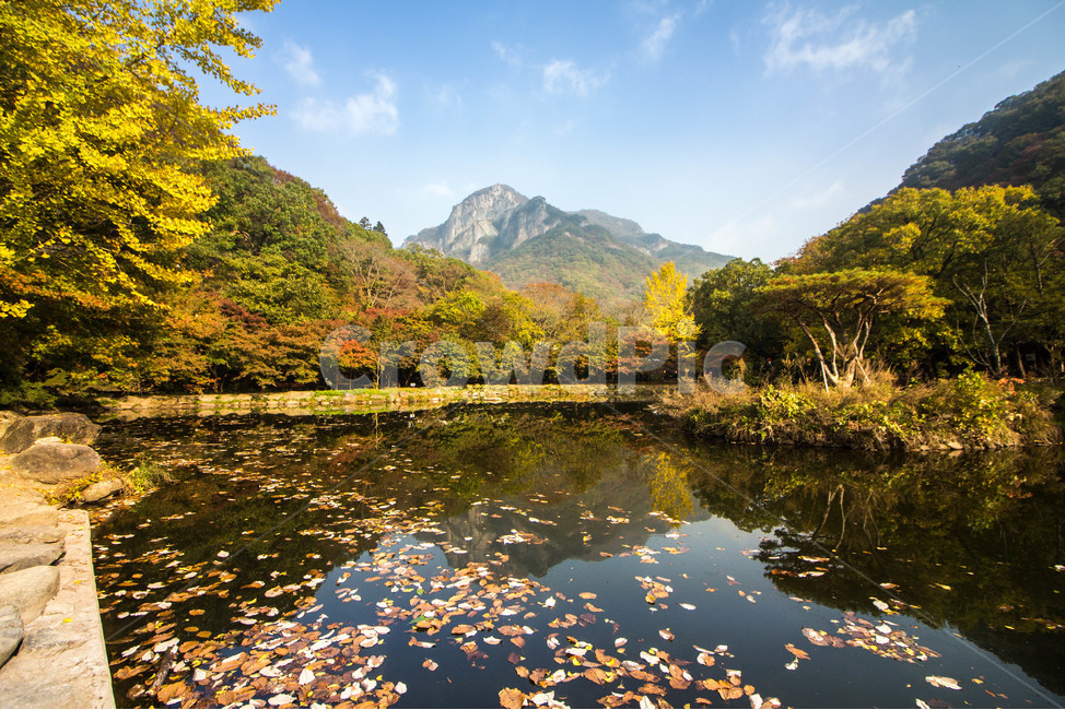 장성,백양사,단풍,가을,풍경,반영,백양사단풍,가을,계절,fall,autumn,season,자연,풍경,nature,landscape,한국자연풍경,한국자연경관,korea nature landscape,water,물,outdoors,옥외,land,땅