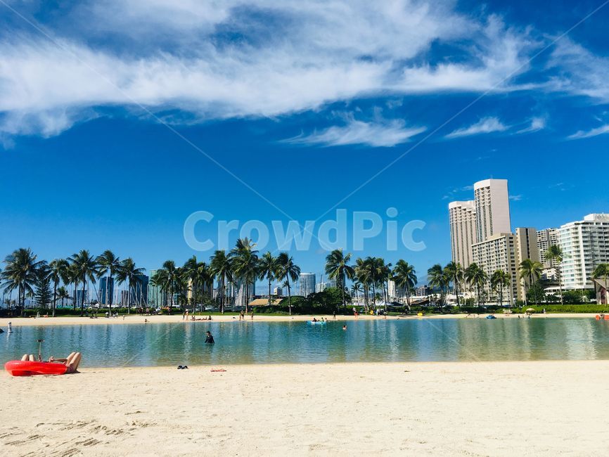 hawaii,beach,summer,여름,tropical,ocean,바다,하늘,blue,sky,비치,물놀이,palmtree,야자수,맑은,sunny,와이키키,휴양지,waikikibeachresort,하와이,hiltonhawaiianvillage,리조트,vacation,구름,cloud,고요한,잔잔한