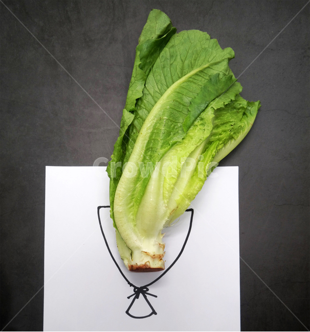 채소,야채,상추,로메인,샐러드,녹색,건강,채식주의자,채식,vegetable,lettuce,건강,헬스웨어,헬스케어,healthware,health care,채소,야채,vegetables