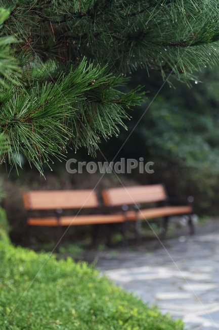 백운호수,벤치,밴치,의자,좌석,휴식,자연,앉다,앉기,chair,bench