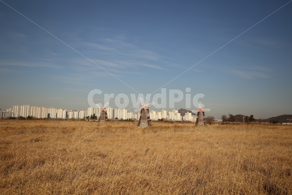 갈대,풍차,소래습지생태공원,벌판,풍경사진,도시,풍경,city,landscape,한국도시풍경,한국도시경관,korea cityscape,nature,자연,outdoors,옥외