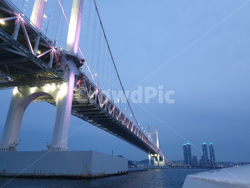 다리,조명,bridge,building,대교