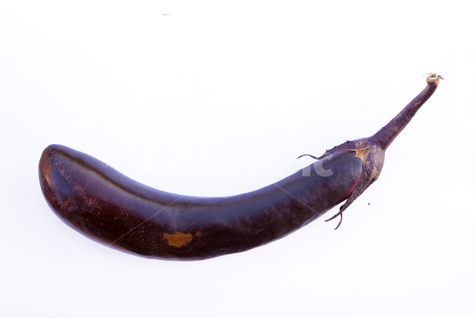 가지,야채,채소,보라색,보라,퍼플,식재료,음식,식물,열매,흰배경,food,vegetables,eggplant,aubergine,violet,purple