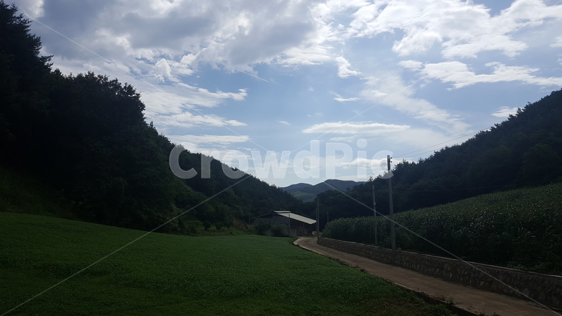 자연,산,잔디,산속,식물,nature,plant,grass,자연,풍경,nature,landscape