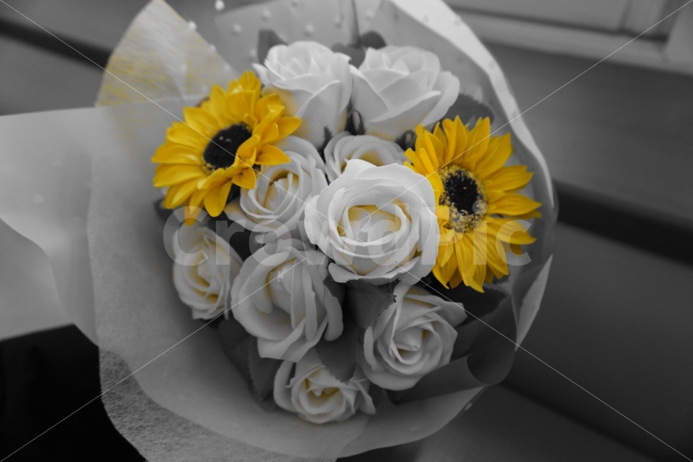 노란색,흑백사진,꽃다발,해바라기,졸업식,식물,자연,plants,nature,감성,sensible,feeling,꽃,flower,흑백,모노톤,monochrome,black and white